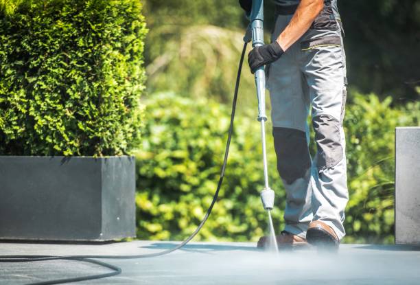 Best Animal Enclosure Cleaning  in Sayreville, NJ